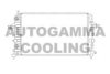 AUTOGAMMA 105491 Radiator, engine cooling